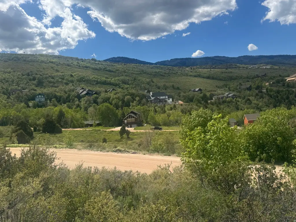 Picture 6
