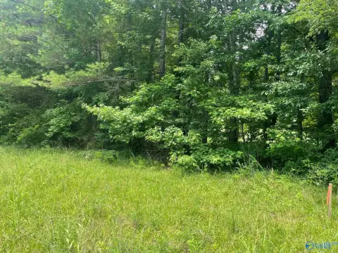 Secluded Wooded Acreage in Cullman