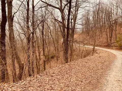 9.98 Acres in Jasper, GA