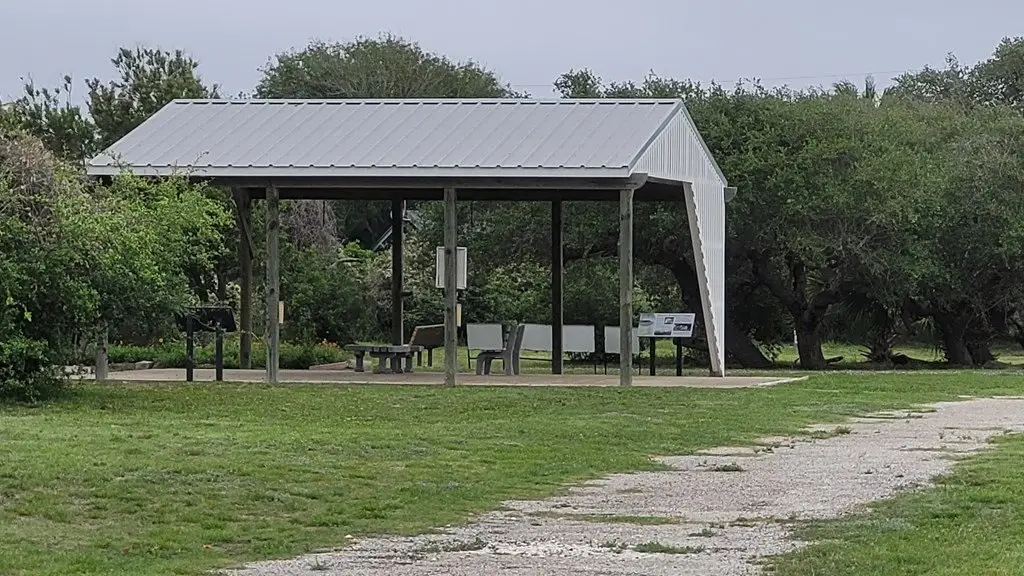 Picture 9