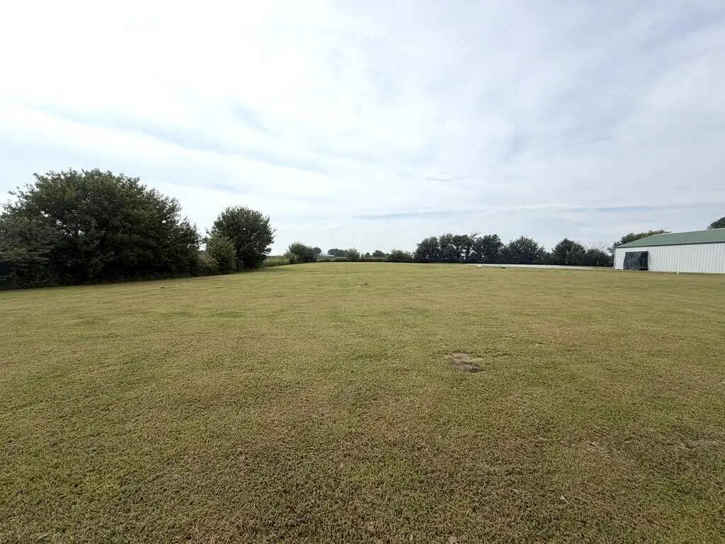 Picture 25