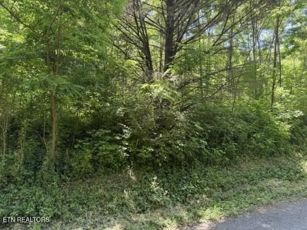 Picture 3