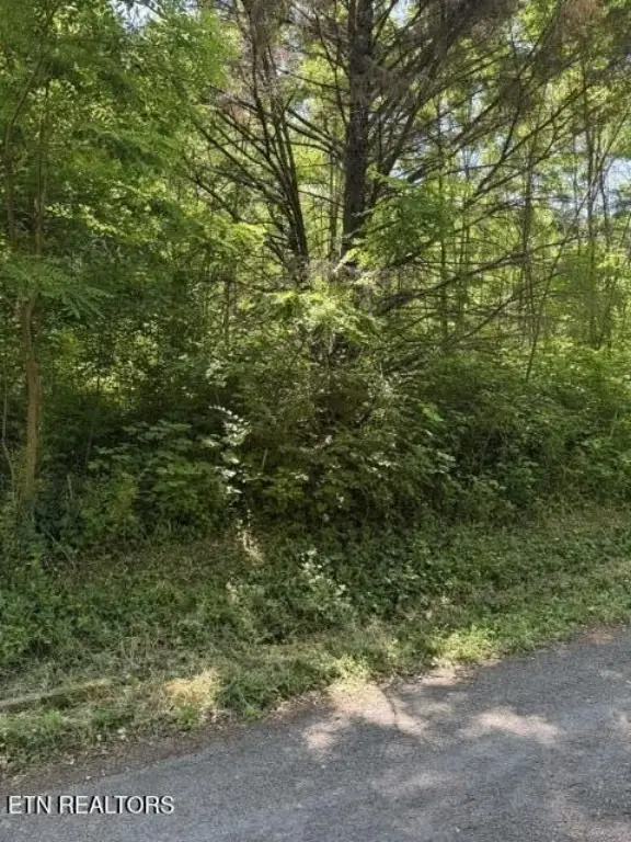 Picture 2