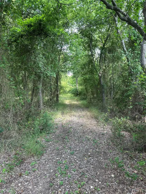 Picture 5