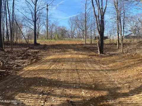Land on Longtown Road