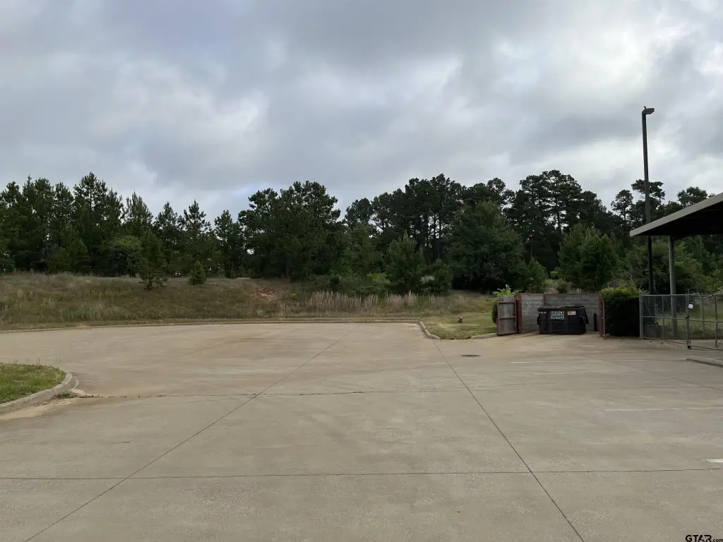Picture 21
