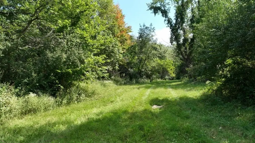 Picture 9