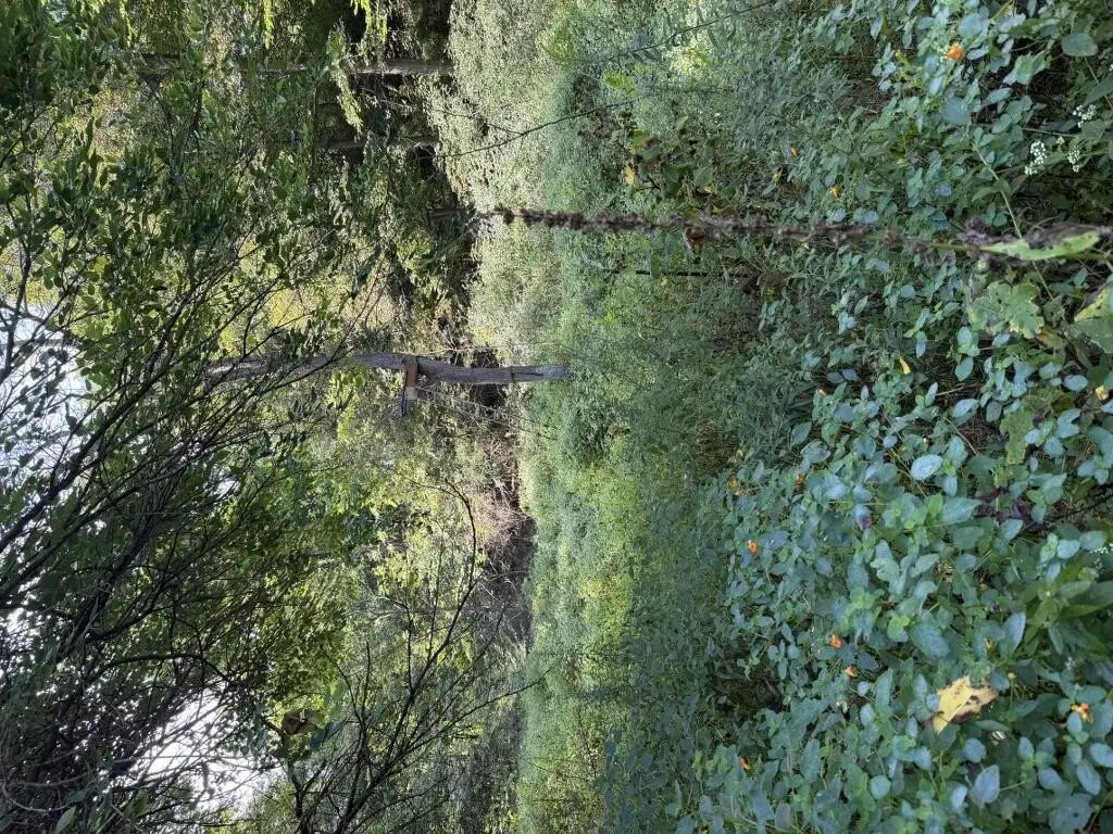 Picture 25