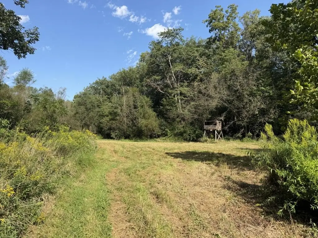 Picture 22