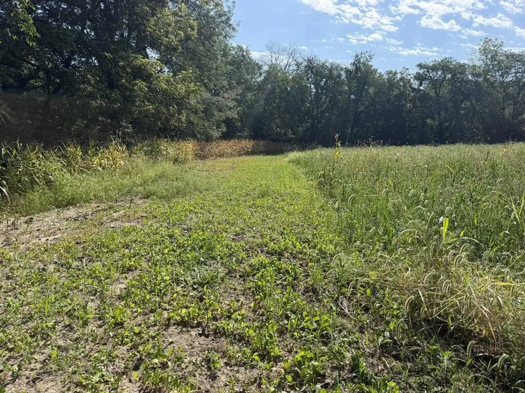 Picture 23