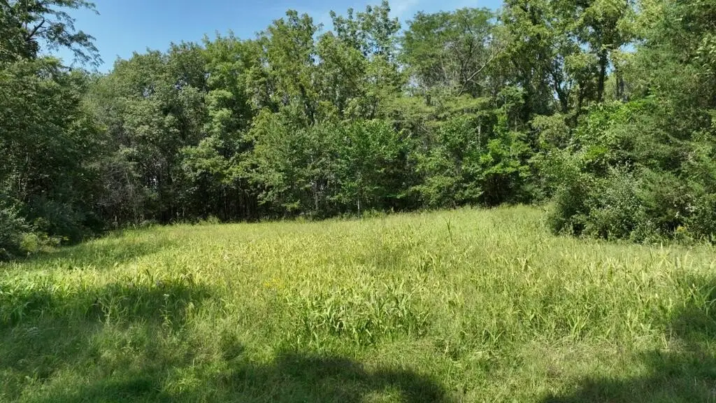 Picture 8