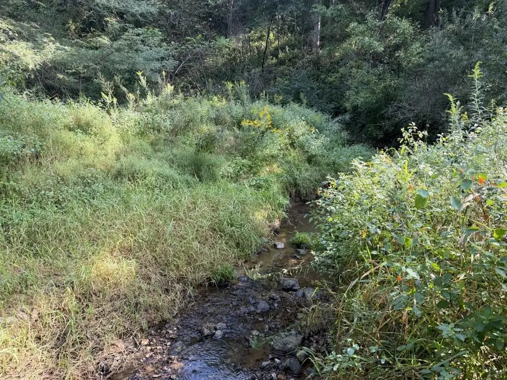 Picture 24