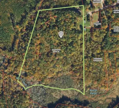 Wooded Hunting Land