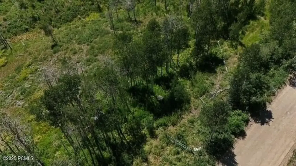 Picture 13