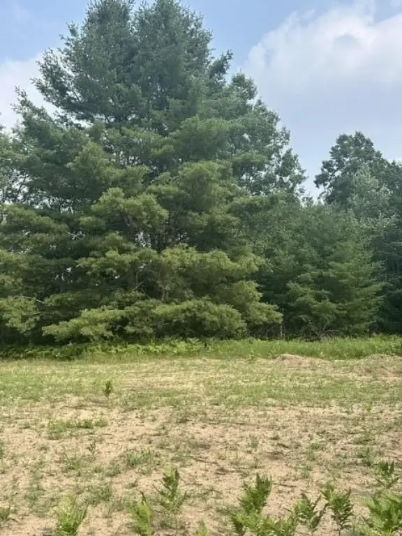 Picture 2