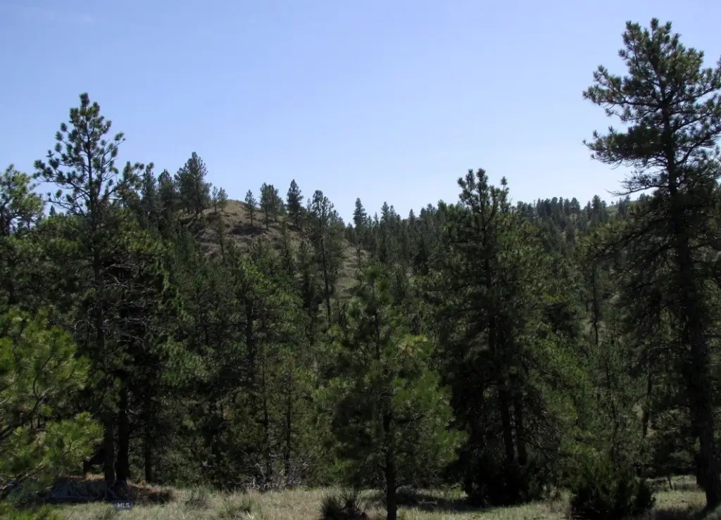 Picture 25