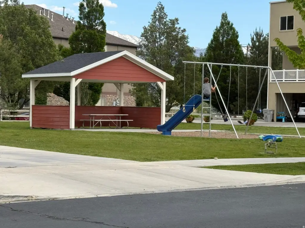 Picture 5