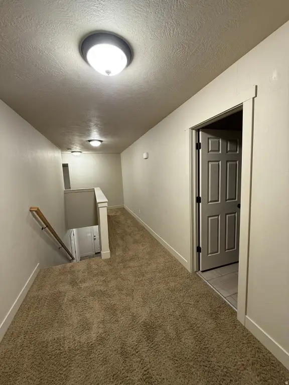 Picture 24