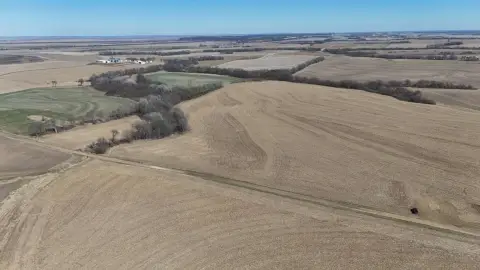 Productive Farmland with Wooded Draws