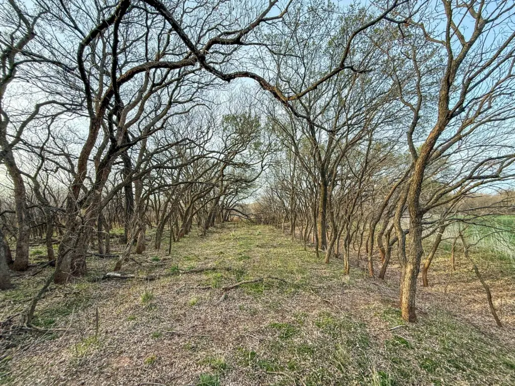 Picture 48
