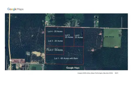 60 Acres of Wooded Land