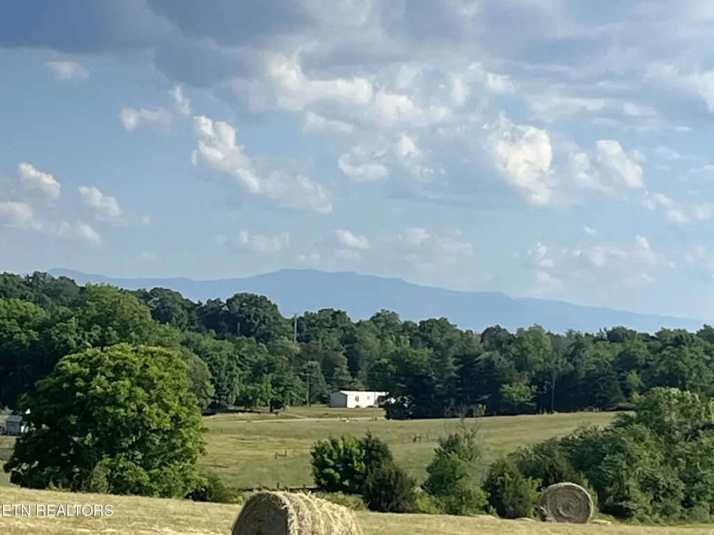 Picture 22