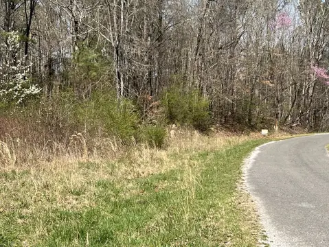 Leesburg, AL Vacant Land