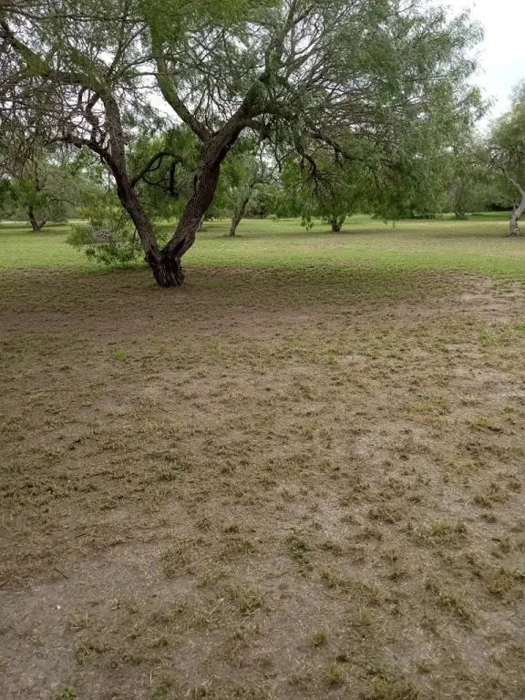 Picture 4
