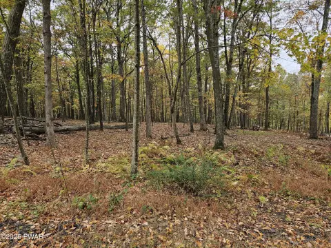Residential Land in Bushkill, PA