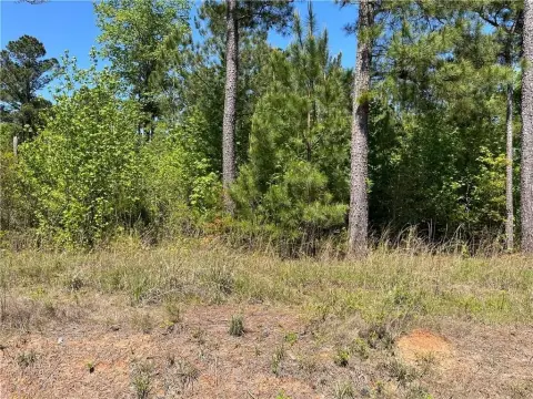Seale, AL Land Opportunity