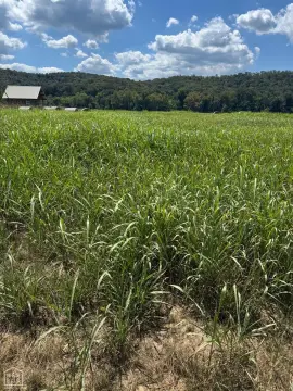 White River Frontage Land