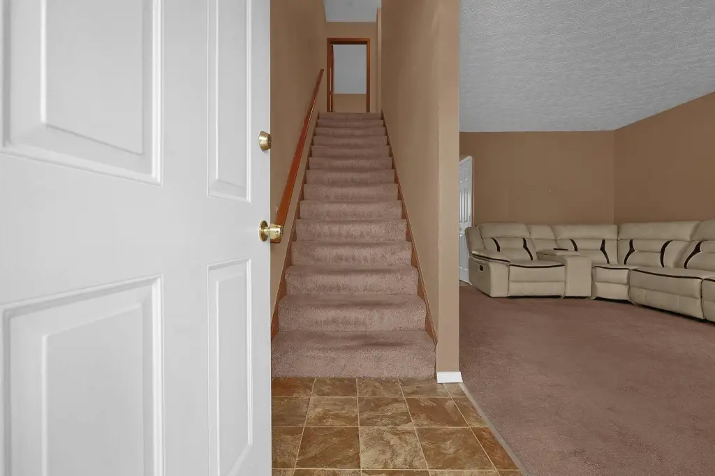Picture 5