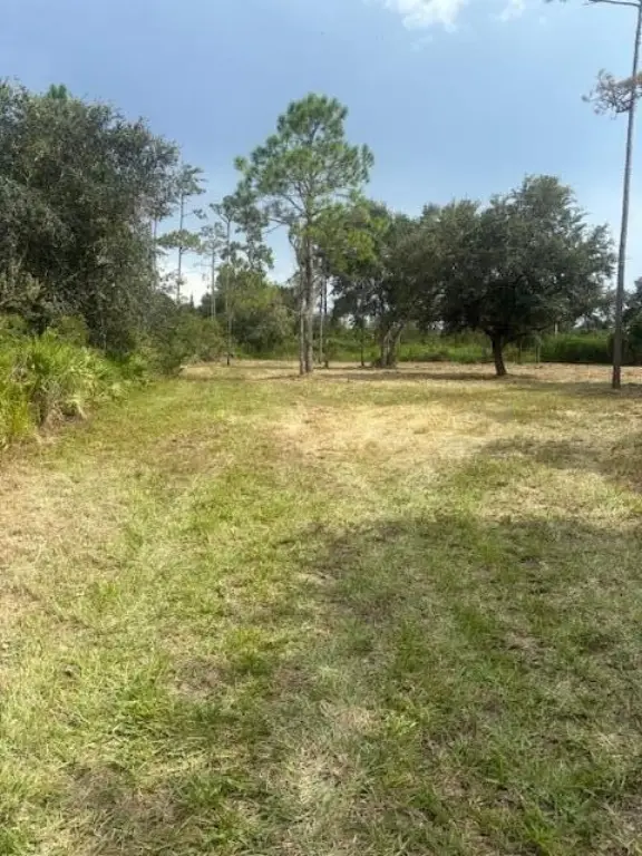 Picture 3