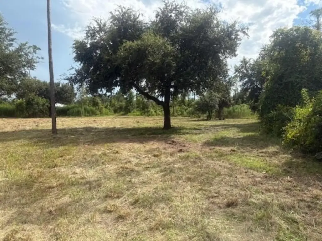 Picture 4