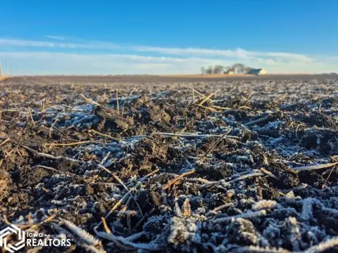 Iowa Farmland Auction - 300 Acres