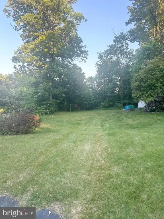 Picture 3