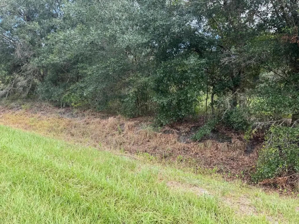 Picture 3