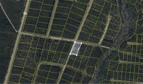 Waynesville, GA Residential Lot