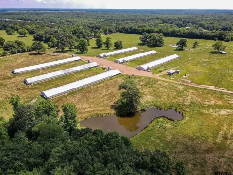 Poultry Farm with Production Improvements