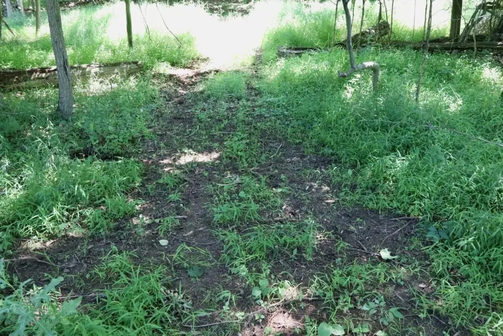 Picture 18