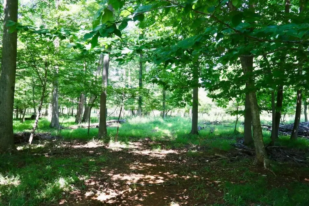 Picture 22