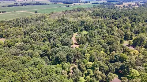 Improved Hunting Land Tract