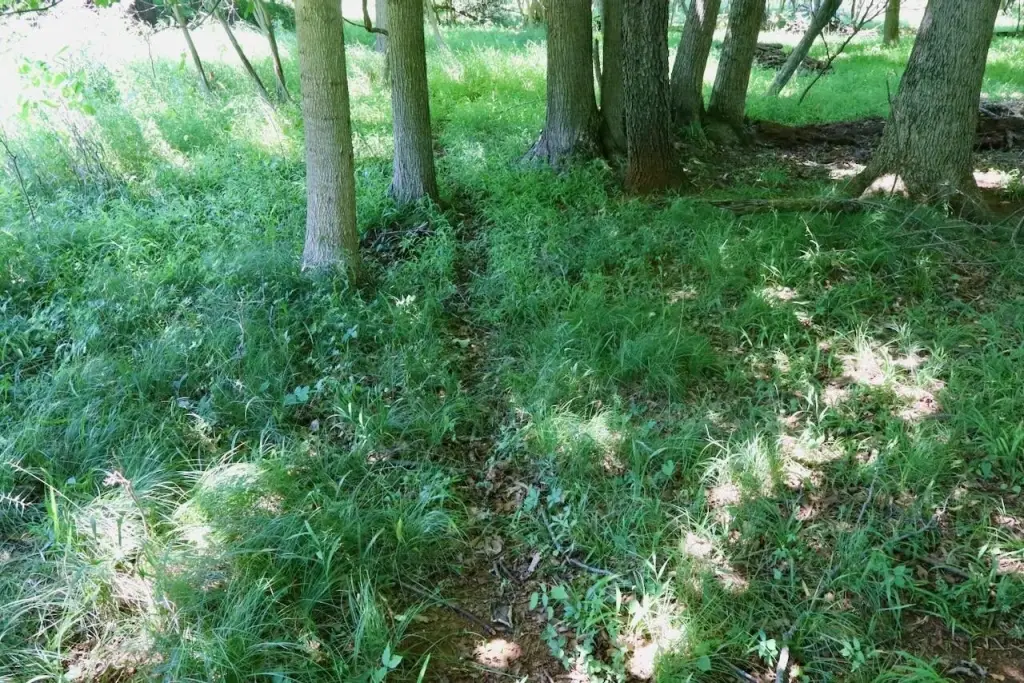 Picture 23