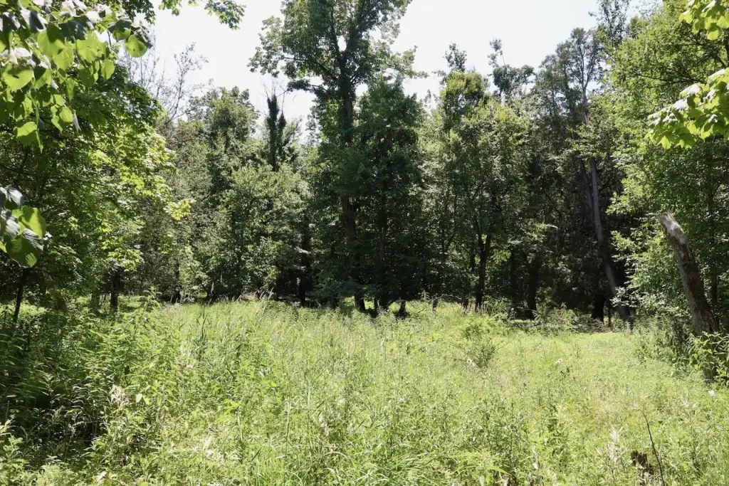Picture 25