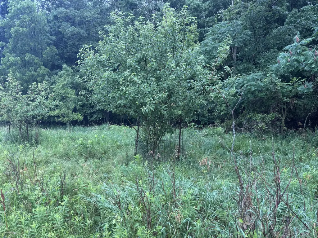 Picture 16