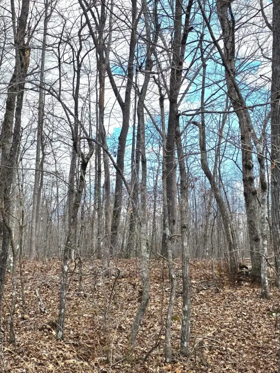Picture 3
