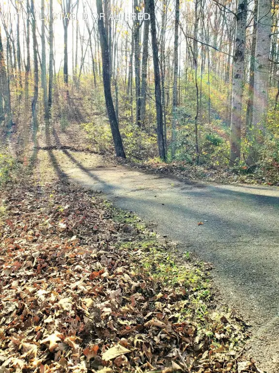 Picture 4