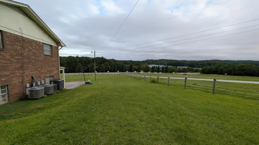 Picture 15