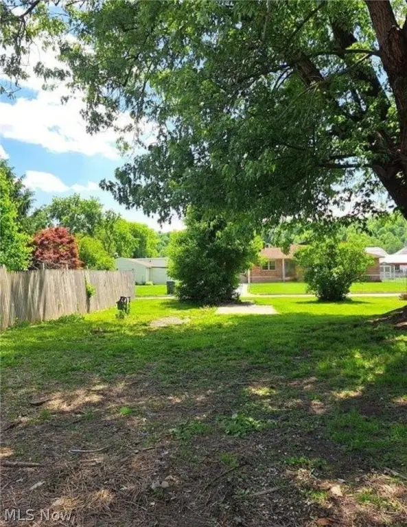 Picture 6