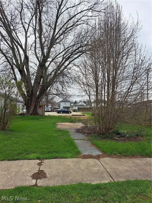 Picture 3